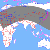 ���� ��������� �������� 9 ������ 2001