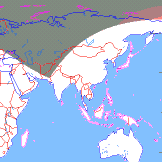 ���. �������� ������