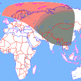 ���� ��������� ��������