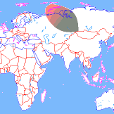 ���� ��������� ��������