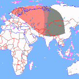 ���� ��������� ��������