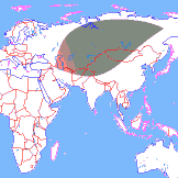 ���� ��������� ��������