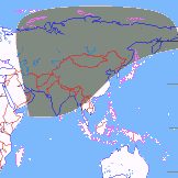 ���� ��������� ��������