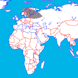 ���� ��������� ��������