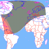 ���� ��������� ��������