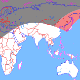 ���� ��������� ��������