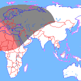 ���� ��������� ��������