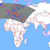 ���� ��������� ��������