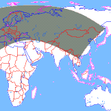 ���� ��������� ��������