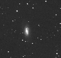 Мой снимок NGC 2903.